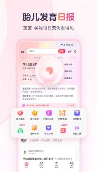 宝宝树孕育