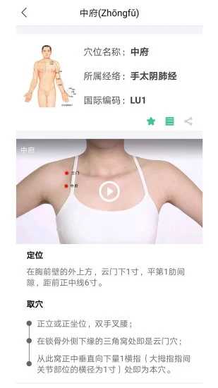 经络穴位图解